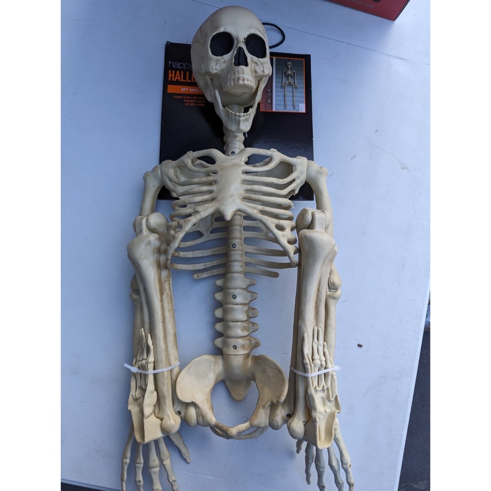 Halloween 3 ft Poseable Skeleton Bones Decor Decoration‎ NWT